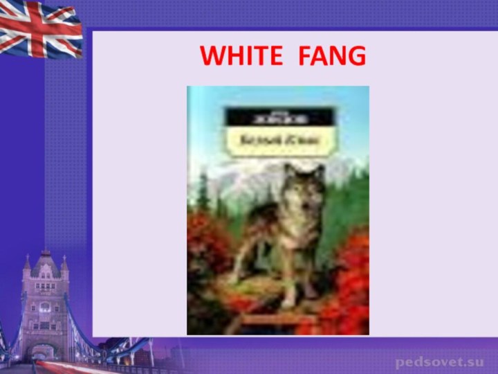 WHITE FANG