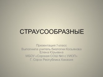 Презентация по биологии на тему Страусообразные