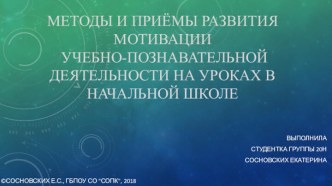 Учебно-познавательная деятельность на уроках в НШ