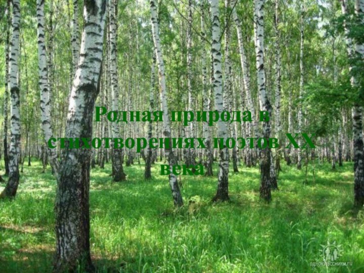 Родная природа в стихотворениях поэтов XX века