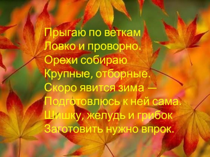 Прыгаю по веткам Ловко и проворно. Орехи собираю Крупные, отборные. Скоро явится