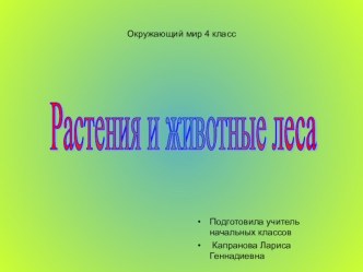 Презентация по окружающему миру 4 класс ПНШ