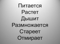 Урок окружающего мира в 3 классе