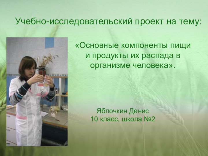 «Основные компоненты пищи и продукты их распада в организме человека».Яблочкин Денис 10