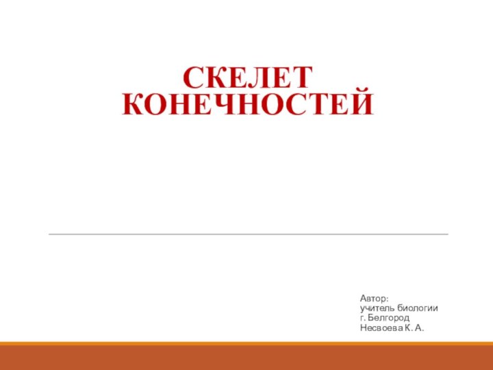 Автор: учитель биологии г. Белгород Несвоева К. А. Скелет конечностей 