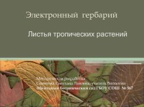 Презентация по биологии на тему Электронный гербарий (6 класс)