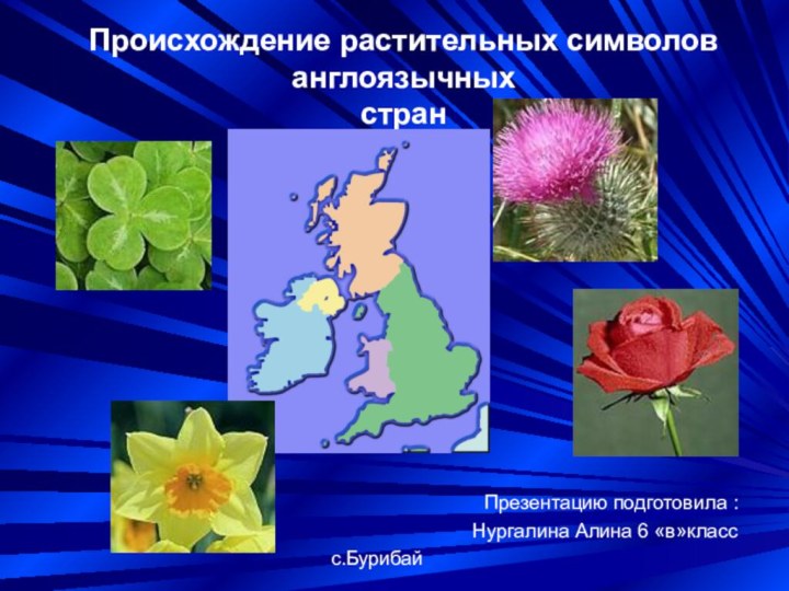 Происхождение растительных символов англоязычных странПрезентацию подготовила : Нургалина Алина 6 «в»класс