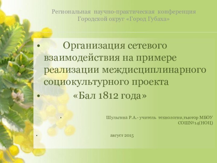 Региональная научно-практическая конференция Городской округ «Город Губаха»     Организация