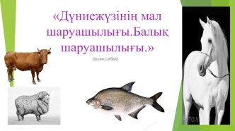 Презентация по географии на тему Дүниежүзінің мал шаруашылығы (10 класс)