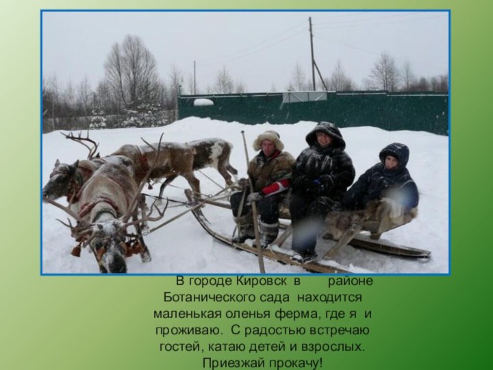 В городе Кировск в	 районе Ботанического сада находится маленькая оленья ферма, где