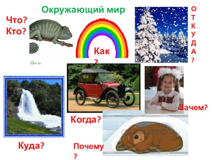 Окружающий мирЧто?Кто?Как?ОТКУДА?Куда?Когда?Почему?Зачем?