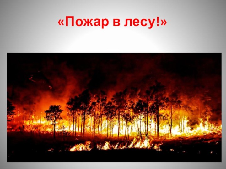 «Пожар в лесу!»
