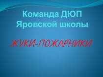 Дружина юных пожарных МАОУ Яровской СОШ Жуки- пожарники