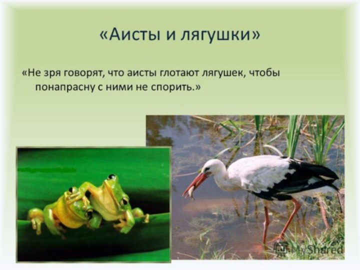 С Михалков «Аисты и лягушка»