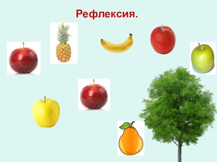 Рефлексия.