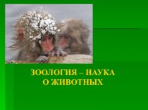 Презентация по биологии 7 класса  Зоология - наука о животных