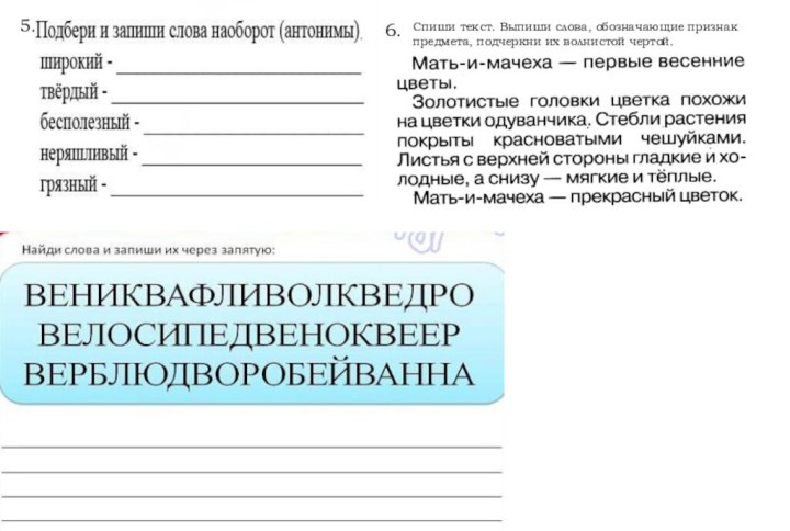 5. 6. Спиши текст. Выпиши слова, обозначающие признак предмета, подчеркни их волнистой чертой.