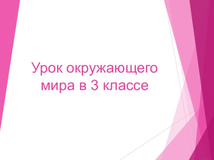 Урок окружающего мира в 3 классе