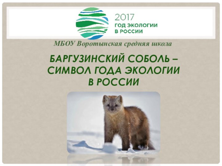 МБОУ Воротынская средняя школаБаргузинский соболь – символ года экологии в России