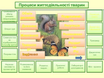 Інтерактивний плакат з біології за темою  Процеси життєдіяльності тварин.