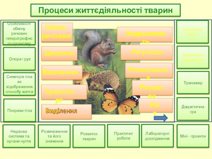 Розмноження та його значенняРозвиток тваринПрактичні роботиЛабораторні дослідженняМіні - проектиНервова система та органи