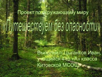 Презентация по окружающему миру Путешествуем без опасности