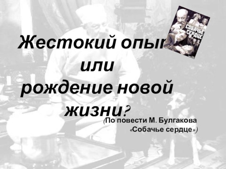 Жестокий опыт или рождение новой жизни?(По повести М. Булгакова «Собачье сердце»)