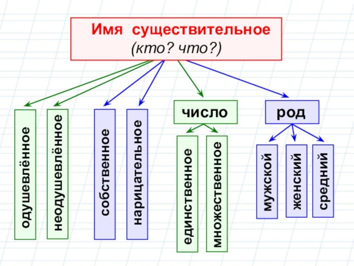 число  род  мужской женский неодушевлённое одушевлённое  нарицательное собственное