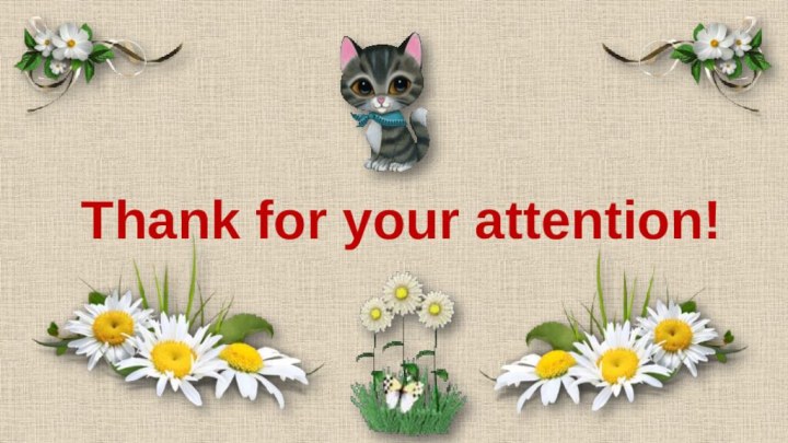 Thank for your attention!