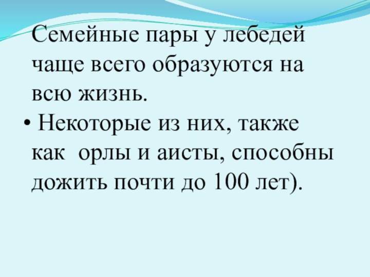 Семейные пары у лебедей чаще всего образуются на всю жизнь. Некоторые из