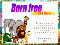 Презентация к уроку английского языка по теме Born free! (Spotlight-7, Module 8c)