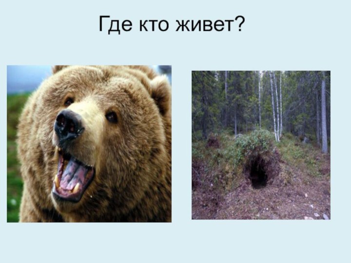 Где кто живет?