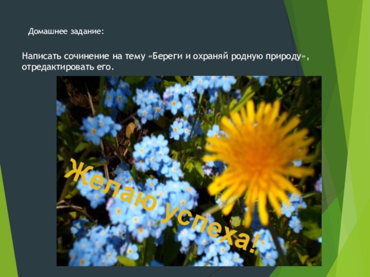 Домашнее задание:Написать сочинение на тему «Береги и охраняй родную природу», отредактировать его.Желаю успеха!