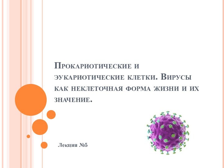 Прокариотические и эукариотические клетки. Вирусы как неклеточная форма жизни и их значение. Лекция №5