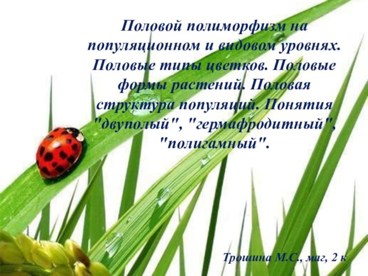 Половой полиморфизм на популяционном и видовом уровнях. Половые типы цветков. Половые формы