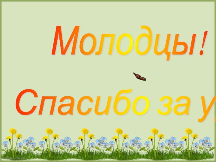 Молодцы! Спасибо за урок!