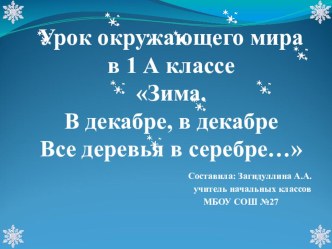 Презентация по окружающему миру на тему Зима (1 класс)