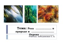 Презентация по биологии на тему Роль водорослей в природе и жизни человека. Охрана водорослей