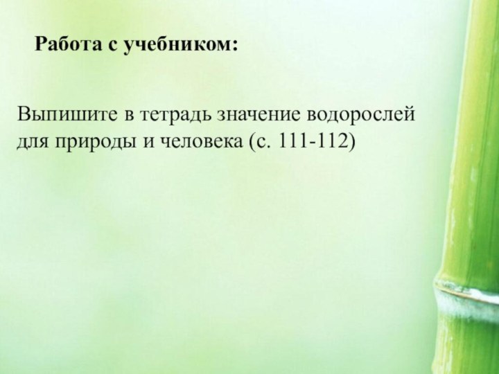 Работа с учебником:Выпишите в тетрадь значение водорослей для природы и человека (с. 111-112)