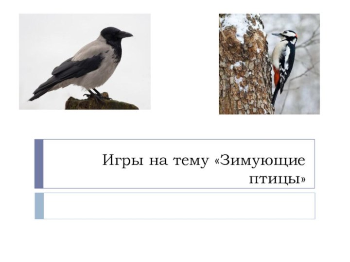 Игры на тему «Зимующие птицы»