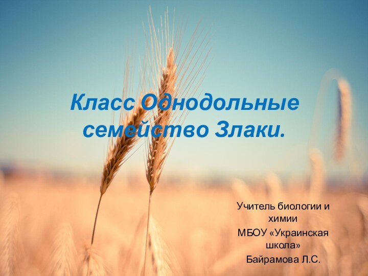 Класс Однодольные семейство Злаки. Учитель биологии и химииМБОУ «Украинская школа»Байрамова Л.С.