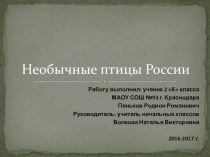 Презентация к проекту  Необычные птицы России