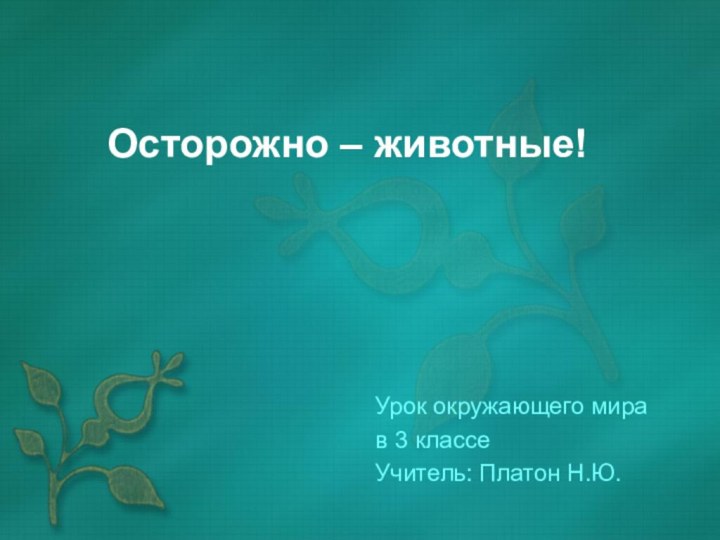 Осторожно – животные!Урок окружающего мира в 3 классеУчитель: Платон Н.Ю.