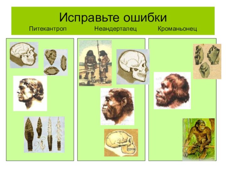 Исправьте ошибки Питекантроп        Неандерталец