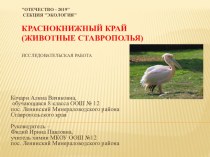 Презентация по экологии Краснокнижный край (животные Ставропольского края)
