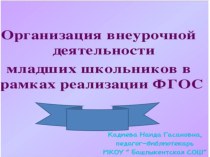 Организация внеурочной деятельности младших школьников в рамках реализации ФГОС