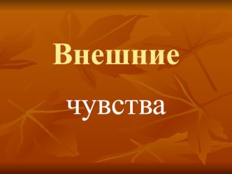 Презентация занятия Внешние чувства