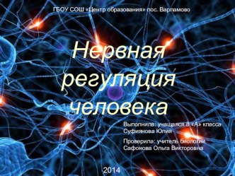 Нервная регуляция человека Биология 8 класс