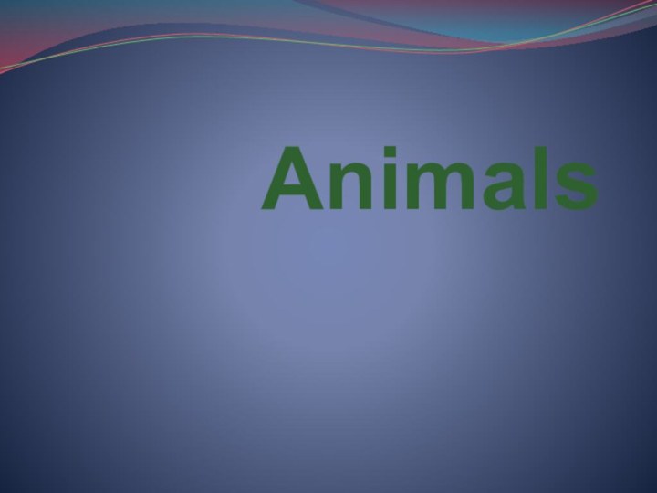 Animals