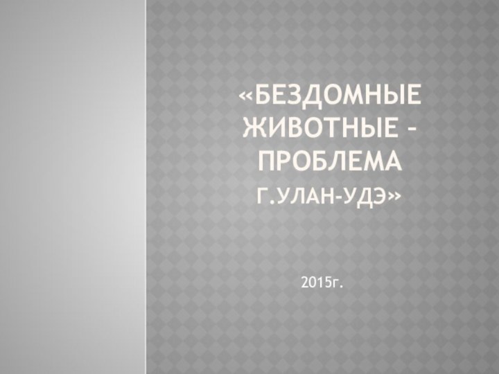 «Бездомные животные – проблема  Г.Улан-УДЭ»2015г.